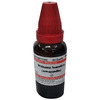 Dr. Willmar Schwabe India Withania Somnifera (Aswagandha) Mother Tincture Q 30 Ml