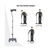 Vissco Invalid New Folding W/ Stick Wth L-Shape - Universal