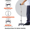 Vissco Invalid New Folding W/ Stick Wth L-Shape - Universal