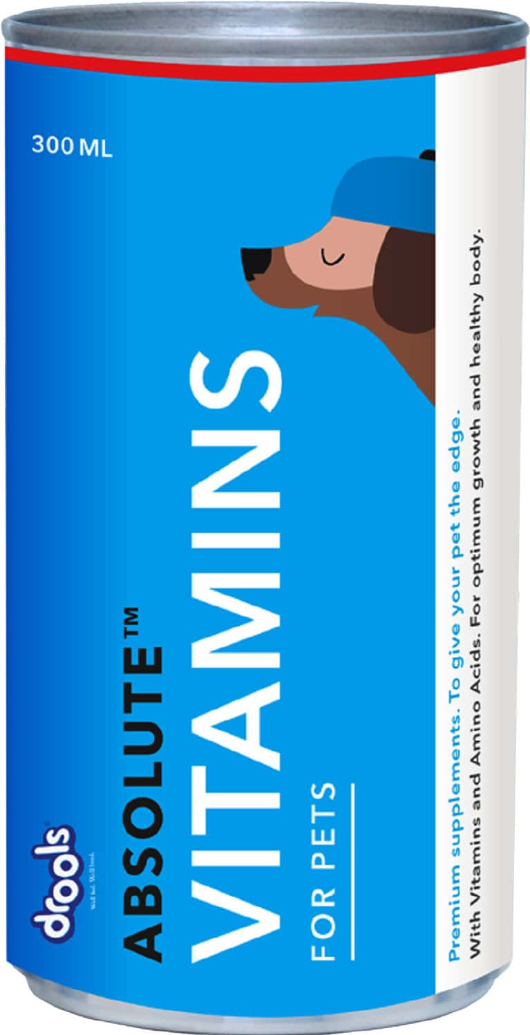 Drools Absolute Vitamin Syrup - Dog Supplement 300ml