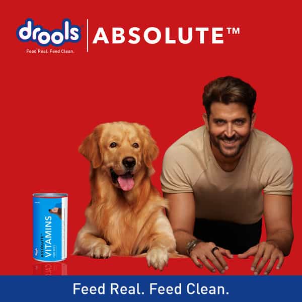 Drools Absolute Vitamin Syrup - Dog Supplement 300Ml