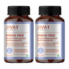 Jiva Stress-Free Tablets|Relieves Anxiety And Stress | Promotes Sound Sleep- 120 Tablets (Pack Of 2)