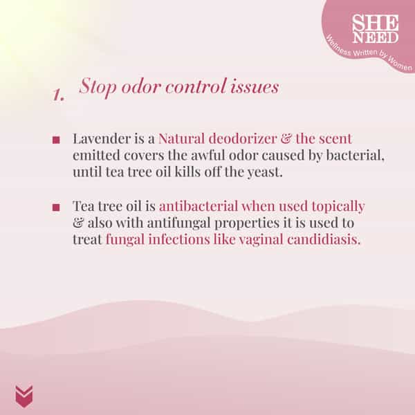 Sheneed Feminine Intimate 24Hr Odour Control Wipes|Rescue From Leakage & Uti|Gynac Approved|10N X 2