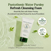 Skinfood Pantothenic Water Parsley Refresh Cleansing Foam - Korean Face Cleanser - 150Ml