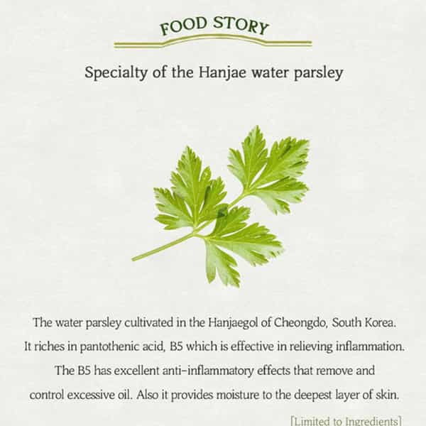 Skinfood Pantothenic Water Parsley Refresh Cleansing Foam - Korean Face Cleanser - 150Ml