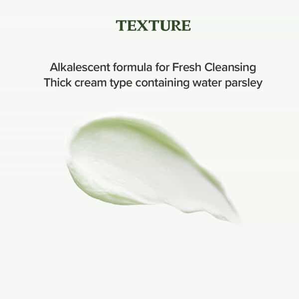 Skinfood Pantothenic Water Parsley Refresh Cleansing Foam - Korean Face Cleanser - 150Ml