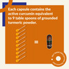 Snec 30 - Nano Curcumin Turmeric Capsules Pack Of 60 Capsules