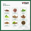 V-Cut Ayurvedic Body Detox Kit Herbal Detox | Liver Heart Kidney Lungs Metabolic Support -15 Sachets