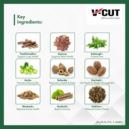 V-Cut Ayurvedic Body Detox Kit Herbal Detox | Liver Heart Kidney Lungs Metabolic Support -15 Sachets