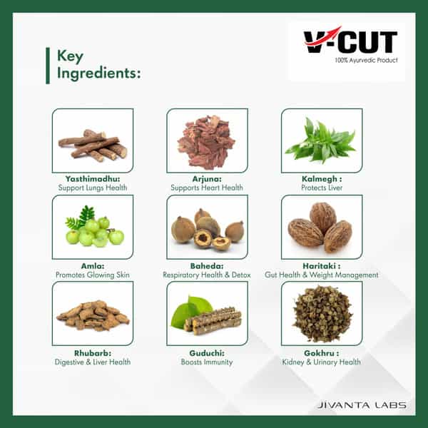 V-Cut Ayurvedic Body Detox Kit Herbal Detox | Liver Heart Kidney Lungs Metabolic Support -15 Sachets