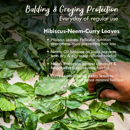 Nat Habit Revital Fresh Hair Mask (Nutrimask) Hairfall Control (40g)