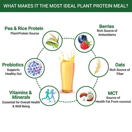 Inlife Plant Based Meal Replacement Shake | Plant Protein Powder (17.5 Protein) | 500g (Mango)