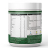 Inlife Plant Based Meal Replacement Shake | Plant Protein Powder (17.5 Protein) | 500G (Mango)