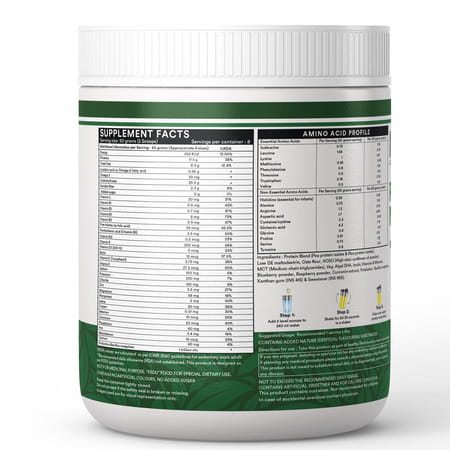 Inlife Plant Based Meal Replacement Shake | Plant Protein Powder (17.5 Protein) | 500g (Mango)