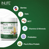 Inlife Plant Based Meal Replacement Shake | Plant Protein Powder (17.5 Protein) | 500G (Mango)