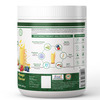 Inlife Plant Based Meal Replacement Shake | Plant Protein Powder (17.5 Protein) | 500G (Mango)