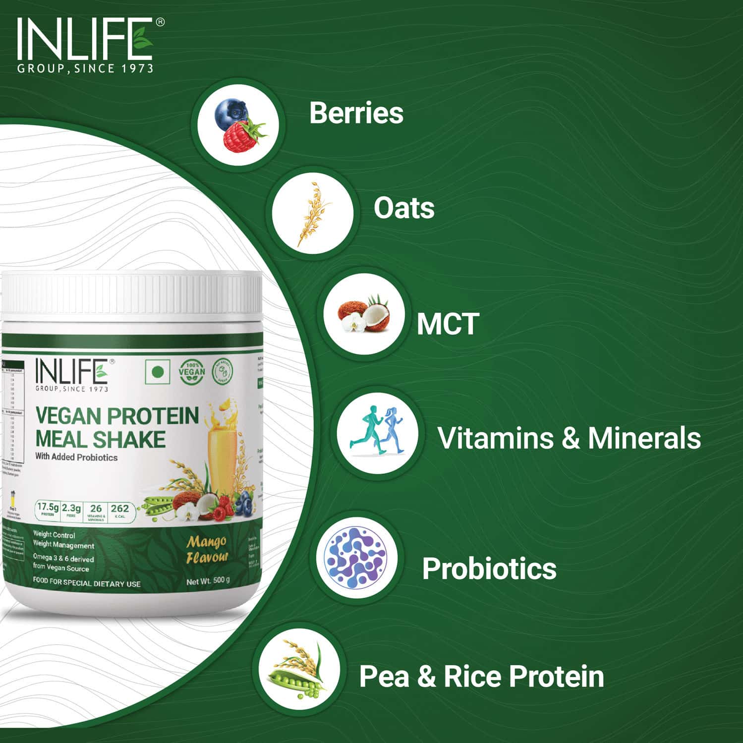 Buy INLIFE VEGAN PLANT BASED PROTEIN POWDER NUTRITIONAL MEAL