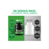 Optimum Nutrition (On) Serious Mass High Weight Gain Powder - 11 Lbs 5 Kg (Chocolate)