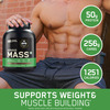 Optimum Nutrition (On) Serious Mass High Weight Gain Powder - 11 Lbs 5 Kg (Chocolate)