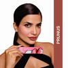 Love Earth Lip Crayon Non-Transfer Lipstick 1.O And Sharpener - Pack Of 5