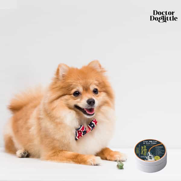 Doctor Doglittle Probiotic Dog Rough Paws & Nose Balm With Goat Milk (15 Gms)