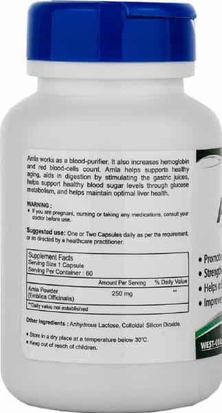 Healthvit Amla Powder 250 Mg -60 Capsules