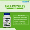 Healthvit Amla Powder 250 Mg -60 Capsules