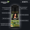 Panchvati Herbals Natural Black Hair Color Shampoo For Men And Women- 180M