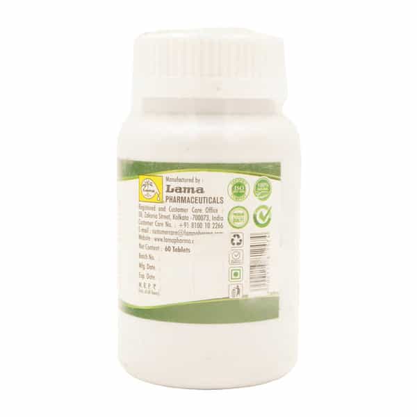 Lama Giloy Ghan Bati - 400 Tablets