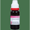 Dr. Reckeweg Tribulus Terr Mother Tincture Q 20 Ml