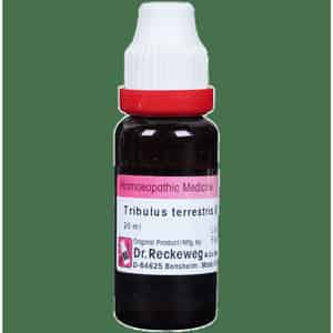 Dr. Reckeweg Tribulus Terr Mother Tincture Q 20 Ml
