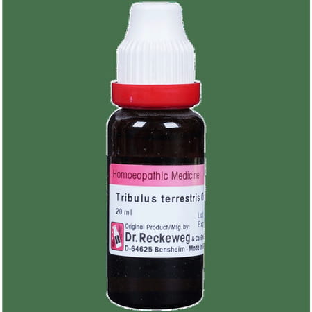 Dr. Reckeweg Tribulus Terr Mother Tincture Q 20 Ml