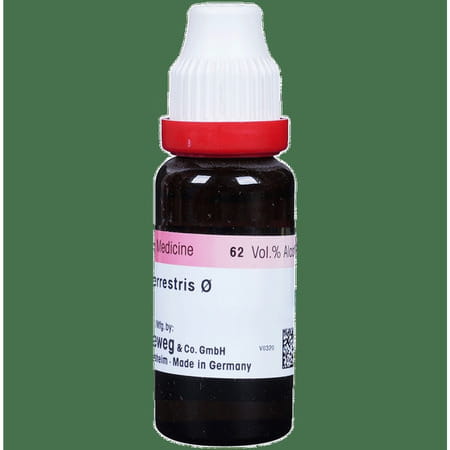 Dr. Reckeweg Tribulus Terr Mother Tincture Q 20 Ml