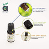 Anveya Clove Essential Oil 100% Natural & Pure 15Ml