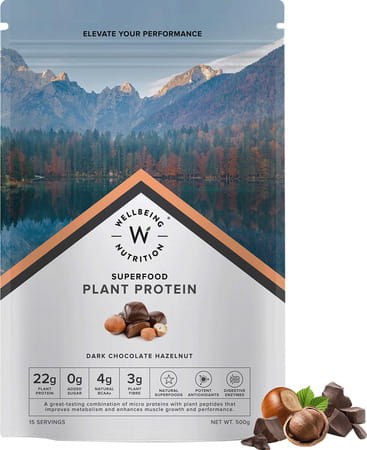 Wellbeing Nutrition Organic Vegan Plant Protein Isolate | Dark Chocolate Hazelnut - 500gm