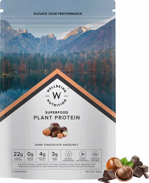 Wellbeing Nutrition Organic Vegan Plant Protein Isolate | Dark Chocolate Hazelnut - 500Gm