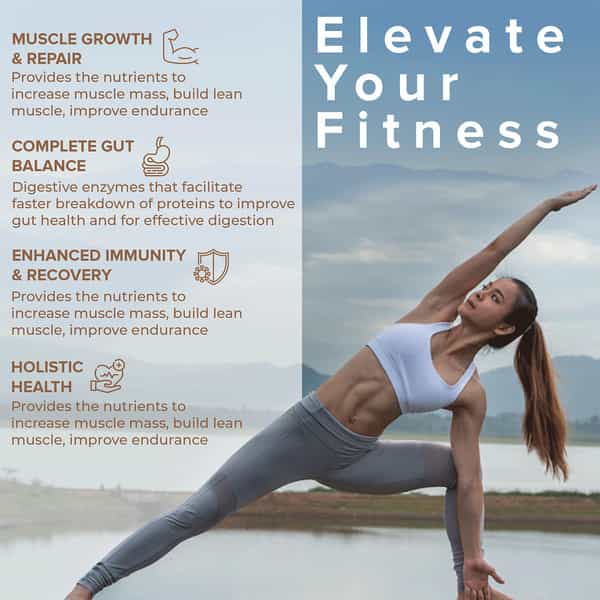 Wellbeing Nutrition Organic Vegan Plant Protein Isolate | Dark Chocolate Hazelnut - 500Gm