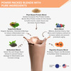 Wellbeing Nutrition Organic Vegan Plant Protein Isolate | Dark Chocolate Hazelnut - 500Gm