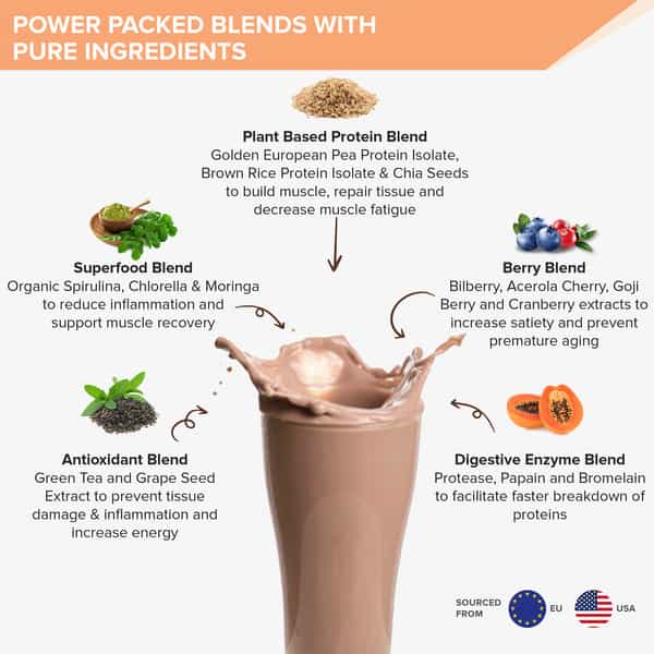 Wellbeing Nutrition Organic Vegan Plant Protein Isolate | Dark Chocolate Hazelnut - 500Gm