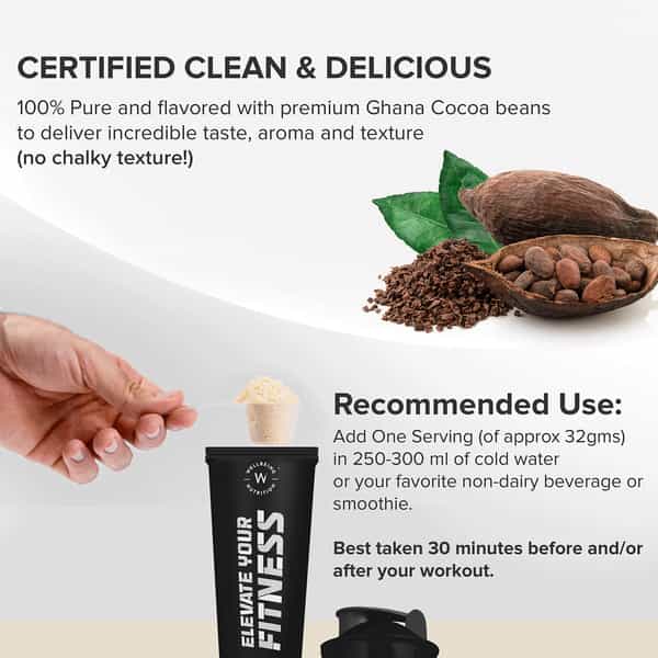 Wellbeing Nutrition Organic Vegan Plant Protein Isolate | Dark Chocolate Hazelnut - 500Gm