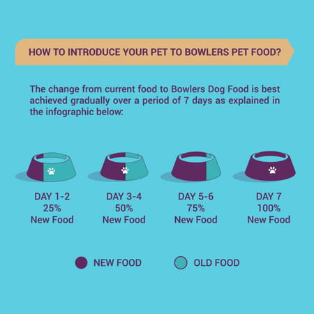 Bowlers Nutrimax Adult Dry Dog Food | Chicken & Vegetables | 10 Kg Protein