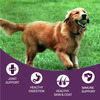 Bowlers Nutrimax Adult Dry Dog Food | Chicken & Vegetables | 10 Kg Protein