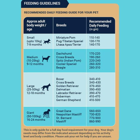 Bowlers Nutrimax Adult Dry Dog Food | Chicken & Vegetables | 10 Kg Protein