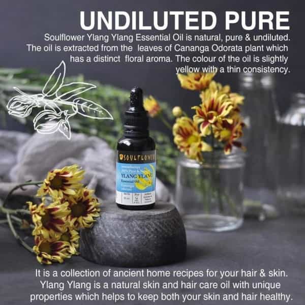 Soulflower Ylang Ylang Essential Oil 15Ml