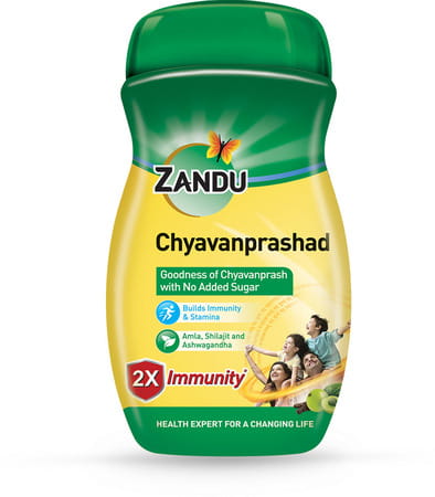 Zandu Chyavanprashad Sugarfree Health Supplement Bottle Of 450 G