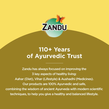 Zandu Chyavanprashad Sugarfree Health Supplement Bottle Of 450 G
