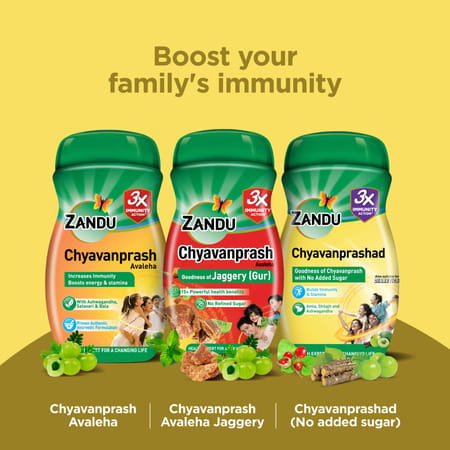Zandu Chyavanprashad Sugarfree Health Supplement Bottle Of 450 G