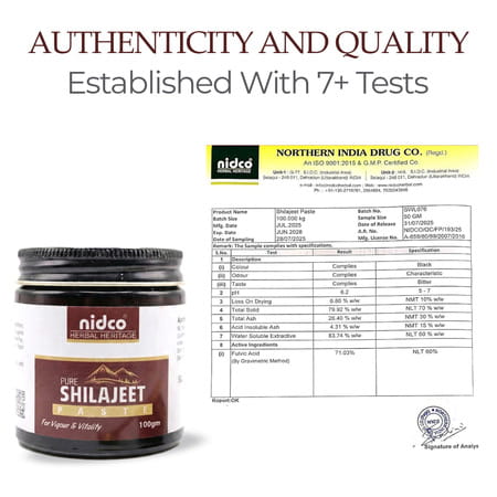Nidco Shilajit Resin 100 Gm
