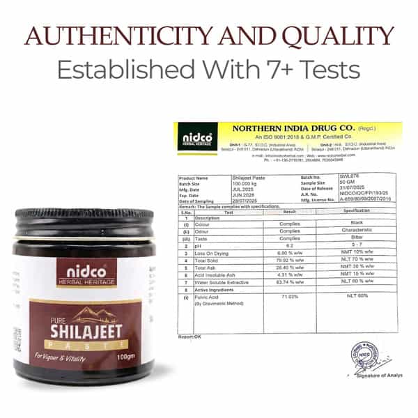 Nidco Shilajit Resin 100 Gm