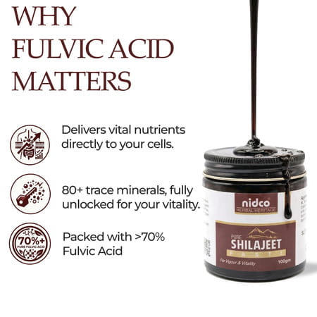 Nidco Shilajit Resin 100 Gm